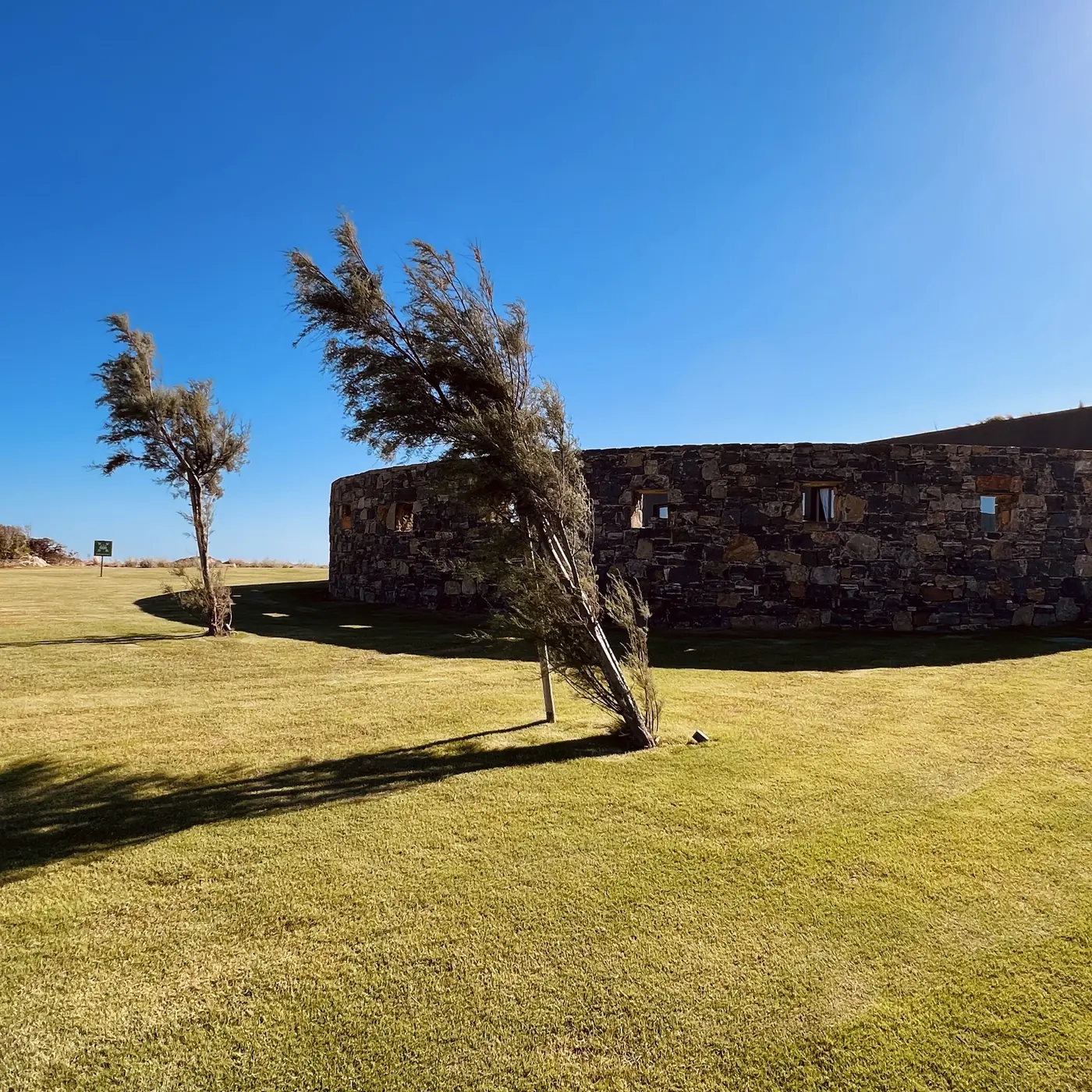 ROBINSON IERAPETRA – windgeformter Baum an der Natursteinmauer
