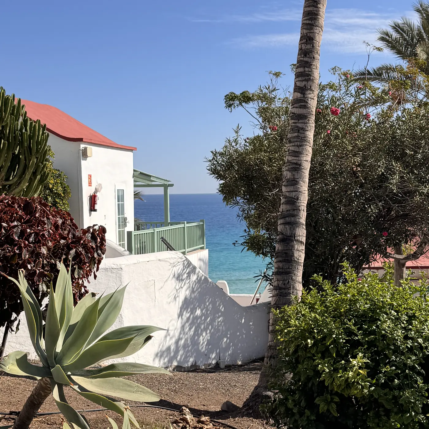 Aldiana Club Fuerteventura – Bungalow mit Meerblick im botanischen Garten