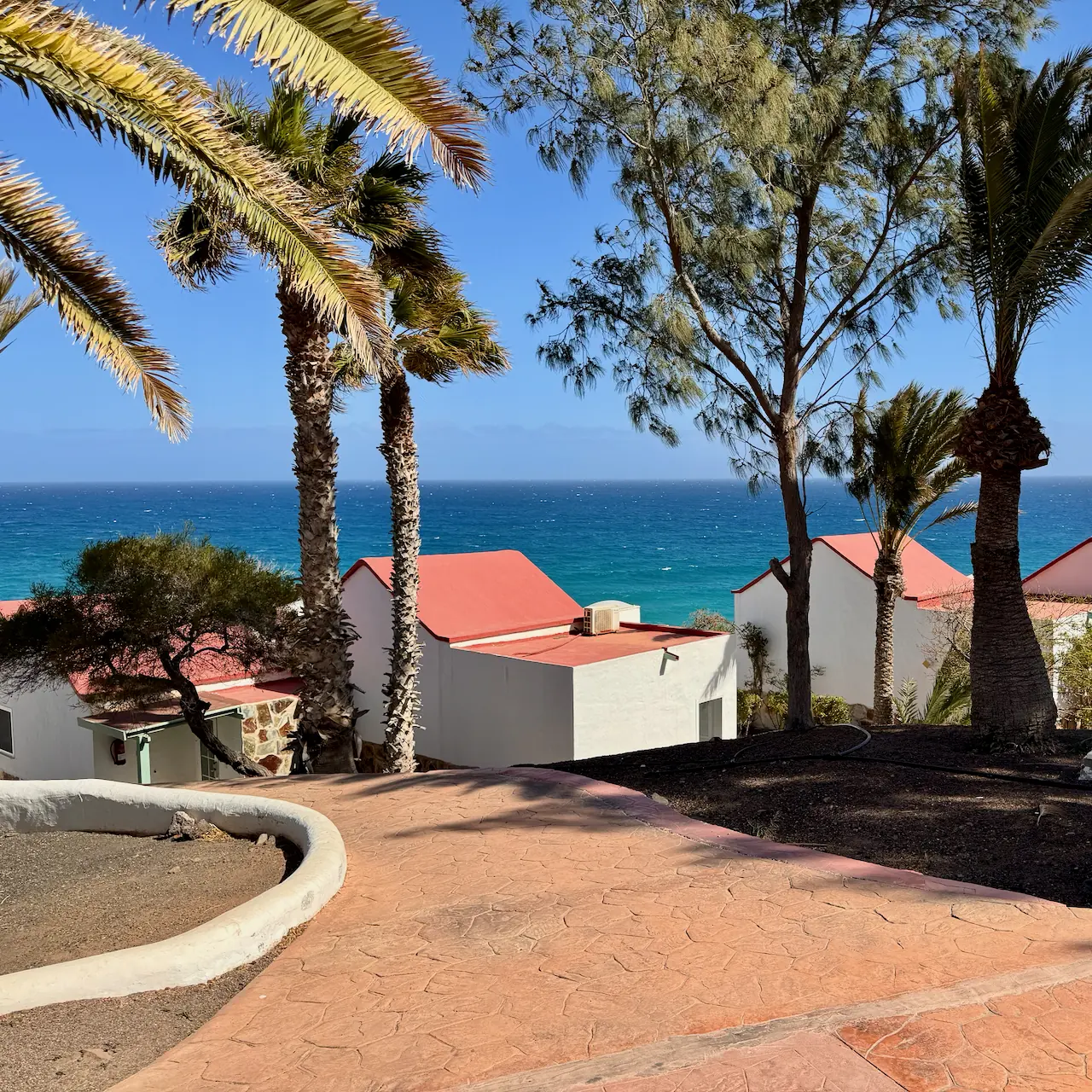 Aldiana Club Fuerteventura – Bungalows mit roten Dächern und Meerblick unter Palmen