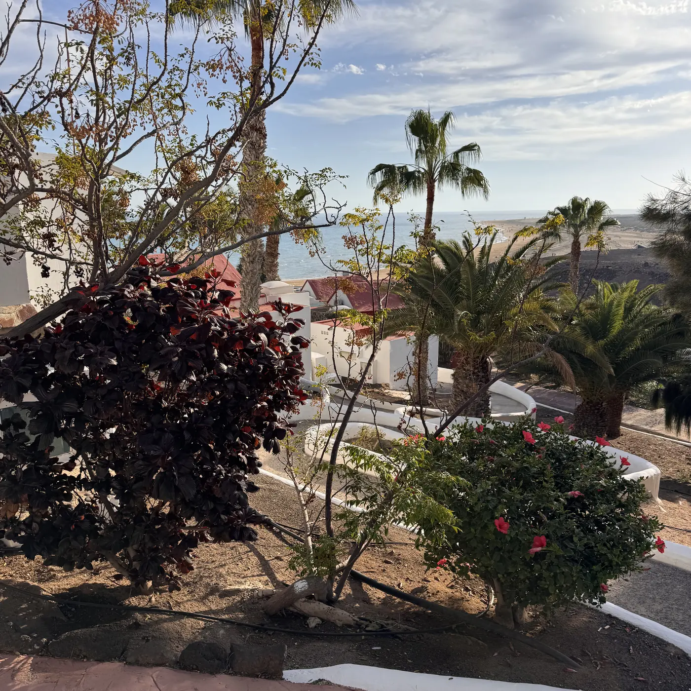 Aldiana Club Fuerteventura – üppiger Garten mit Blick aufs Meer