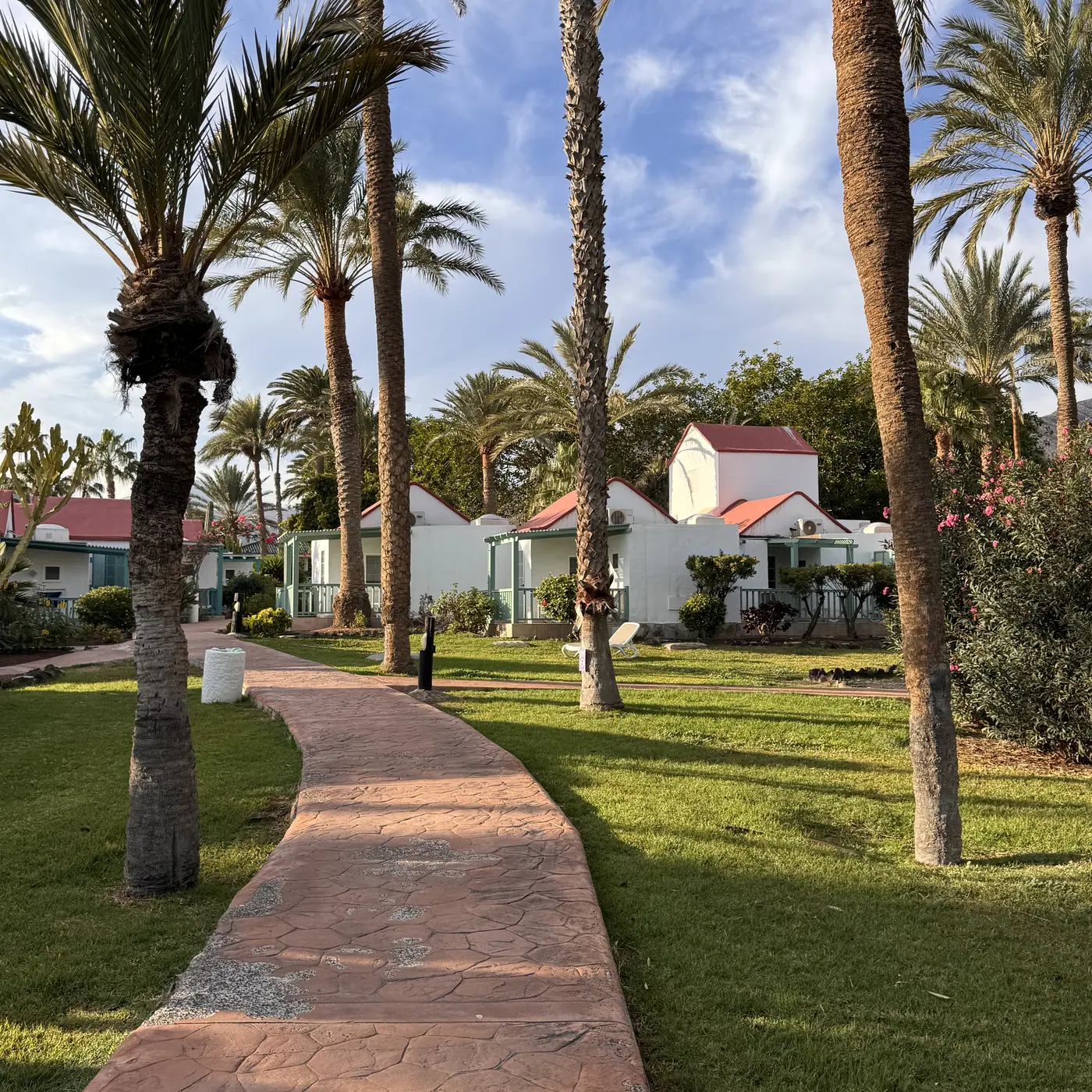 Aldiana Club Fuerteventura – Gartenweg zwischen Palmen und Bungalows