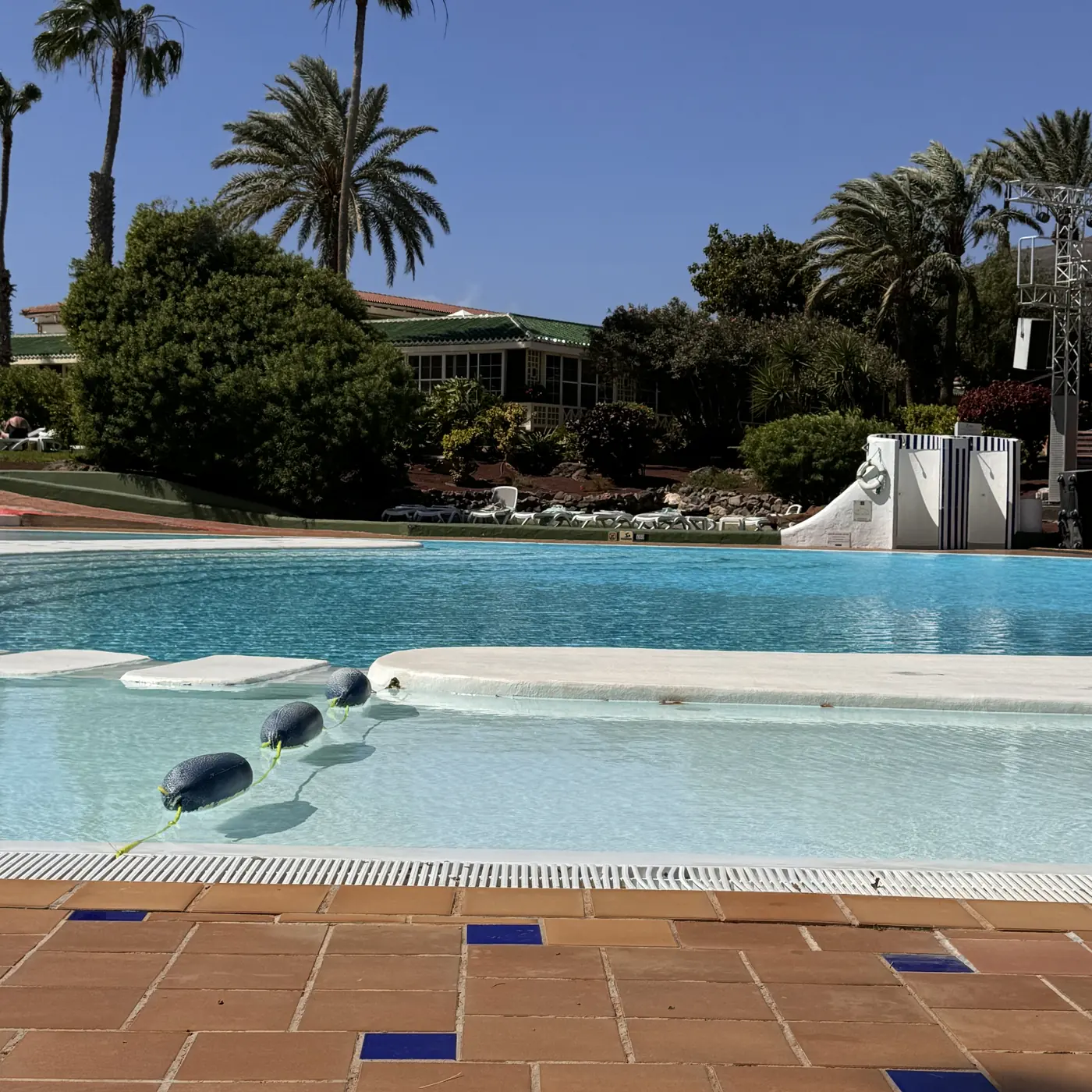 Aldiana Club Fuerteventura – Poolanlage mit Palmen und Clubgebäuden
