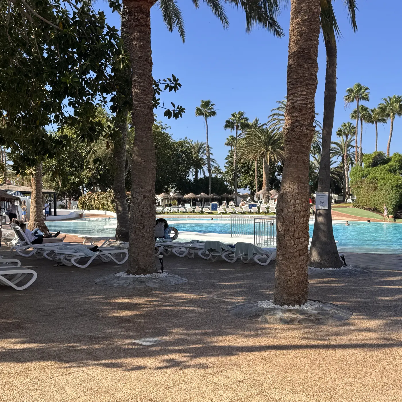 Aldiana Club Fuerteventura – großer Außenpool mit Liegen unter Palmen