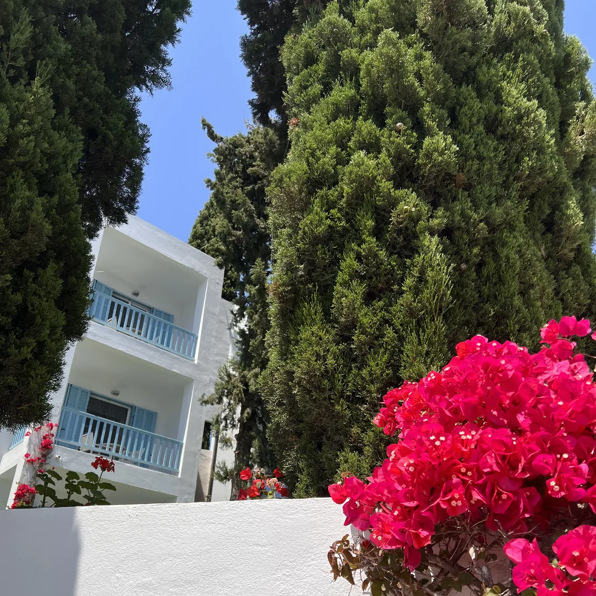 Robinson Club Daidalos – Bungalows mit blühenden Bougainvillea auf Kos