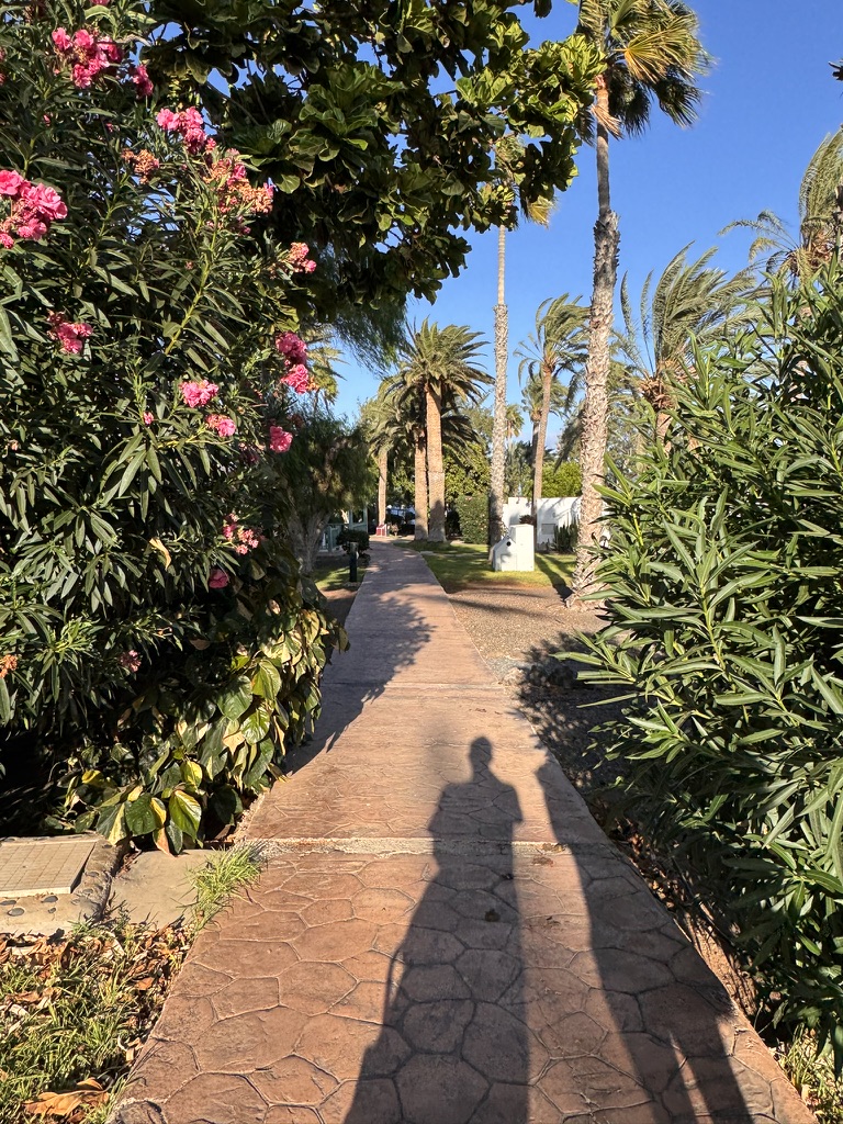 Gartenweg im Aldiana Club Fuerteventura mit Palmen und Oleander