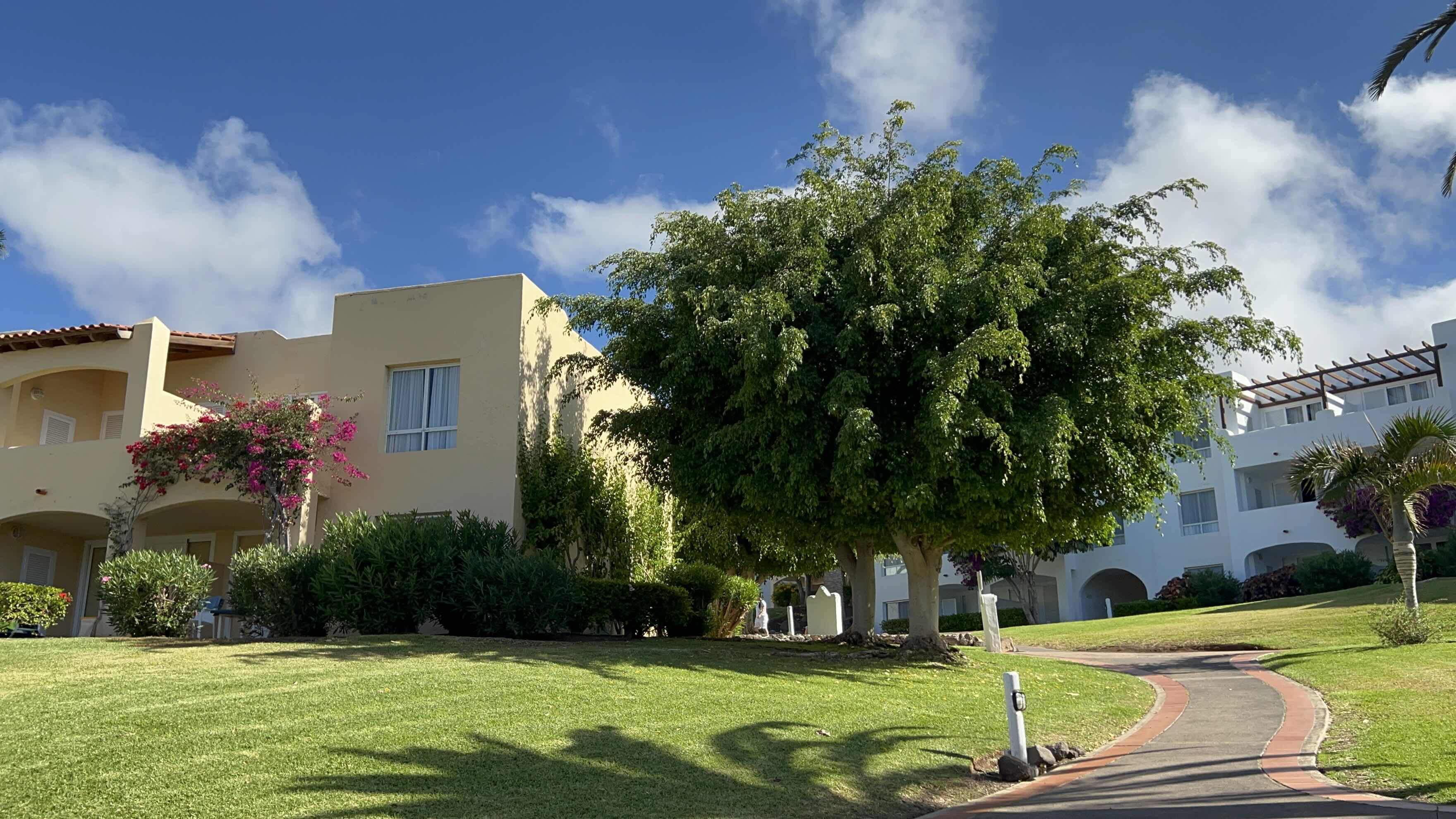 Gartenanlage Robinson Club Esquinzo Playa mit Bungalows und Meerblick