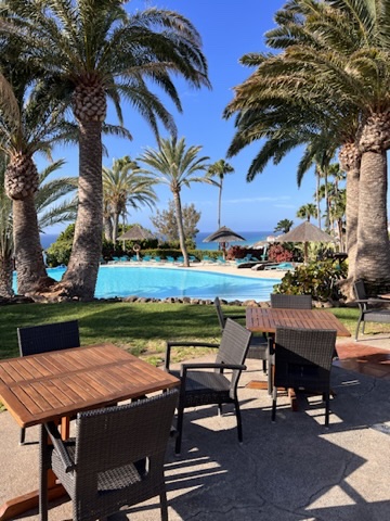 Blick auf den Außenpool des Robinson Club Esquinzo Playa mit Palmen und Meerblick