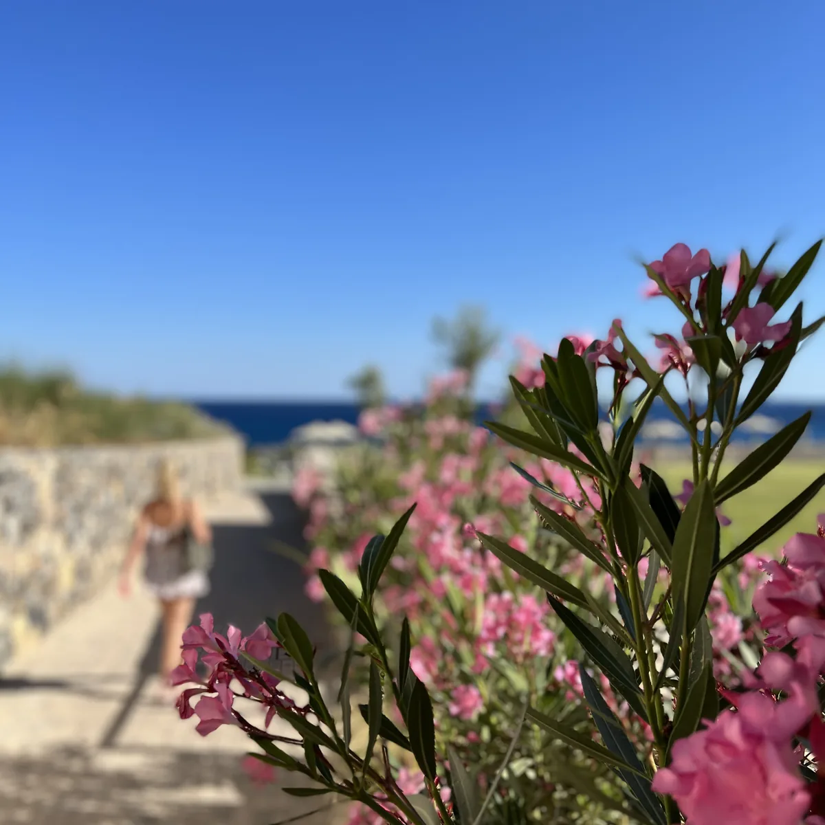 Robinson Club Ierapetra – Oleander-gesäumter Weg zum Meer