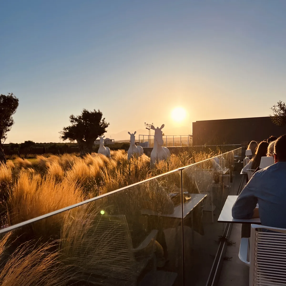 Robinson Club Ierapetra – Sonnenuntergang mit Esel-Skulpturen auf der Terrasse